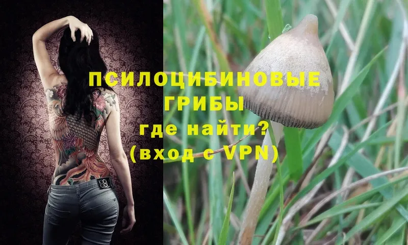 Псилоцибиновые грибы MAGIC MUSHROOMS  Красноперекопск 